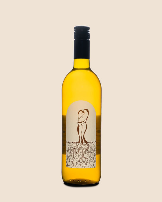 Zorjan Chardonnay